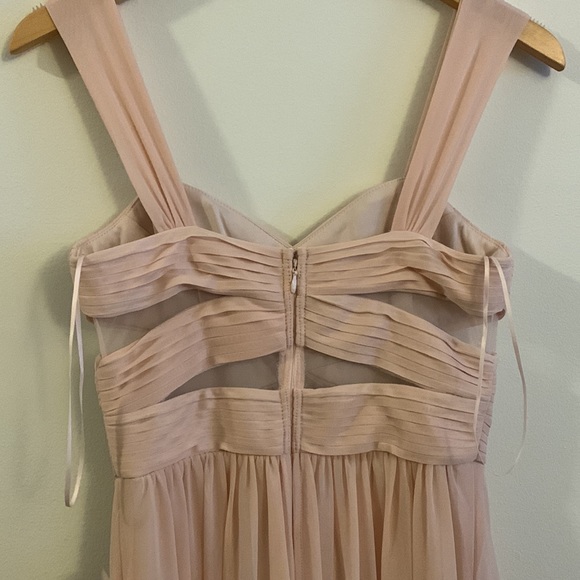 NWT Birdie Grey Elsye Pale Blush Gown! - Picture 5 of 10